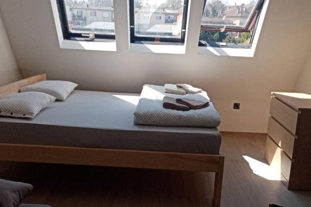 Apartment Rajic Golubac Ngoại thất bức ảnh